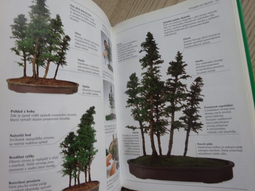 BONSAI, PRAKTICKÁ ILUSTROVANÁ PŘÍRUČKA, **an