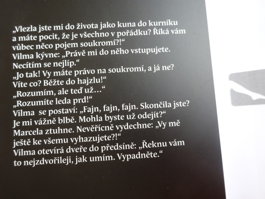 RISKANTNÍ ROZHOVOR, MILENA HOLCOVÁ, **an