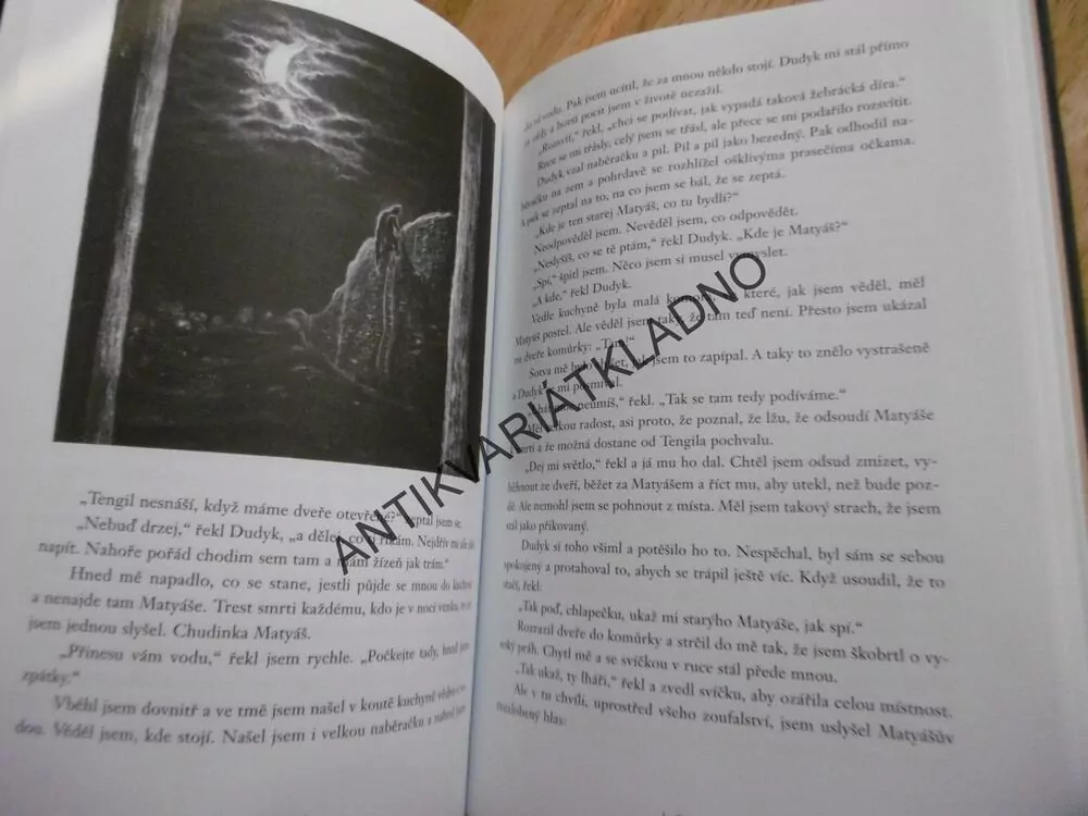 BRATŘI LVÍ SRDCE, ASTRID LINDGRENOVÁ, FR.SKÁLA, **an