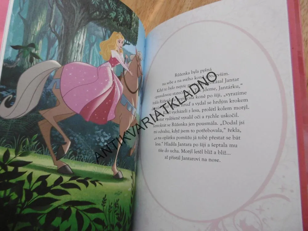ŠÍPKOVÁ PRINCEZNA, DISNEY PRINCEZNA