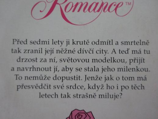 LÁSKA V PŘESTROJENÍ, SHARON KENDRICKOVÁ, **an
