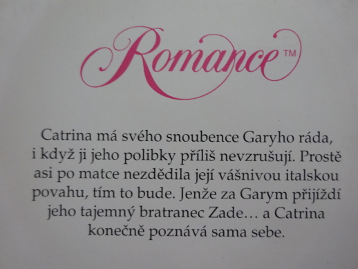 NEBEZPEČNÉ KOUZLO, PATRICIA WILSONOVÁ, **an
