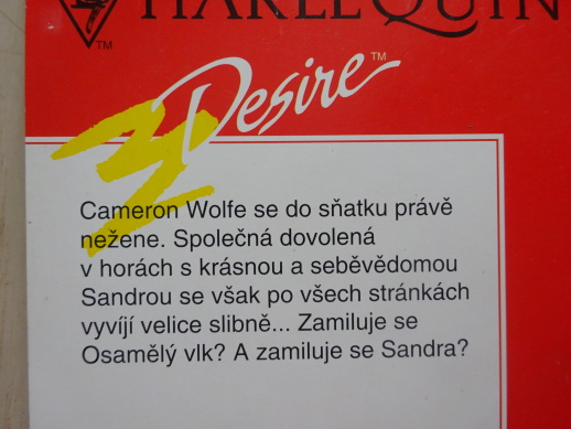 SVATBA OSAMĚLÉHO VLKA, JOAN HOHLOVÁ, **an