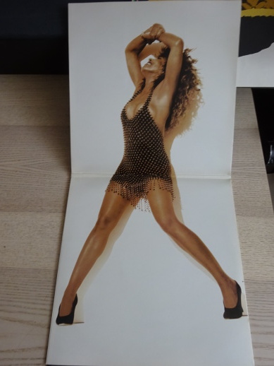 TINA TURNER, FOREIGN AFFAIR