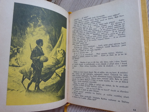 V PUSTINÁCH, HENRYK SIENKIEWICZ, **an
