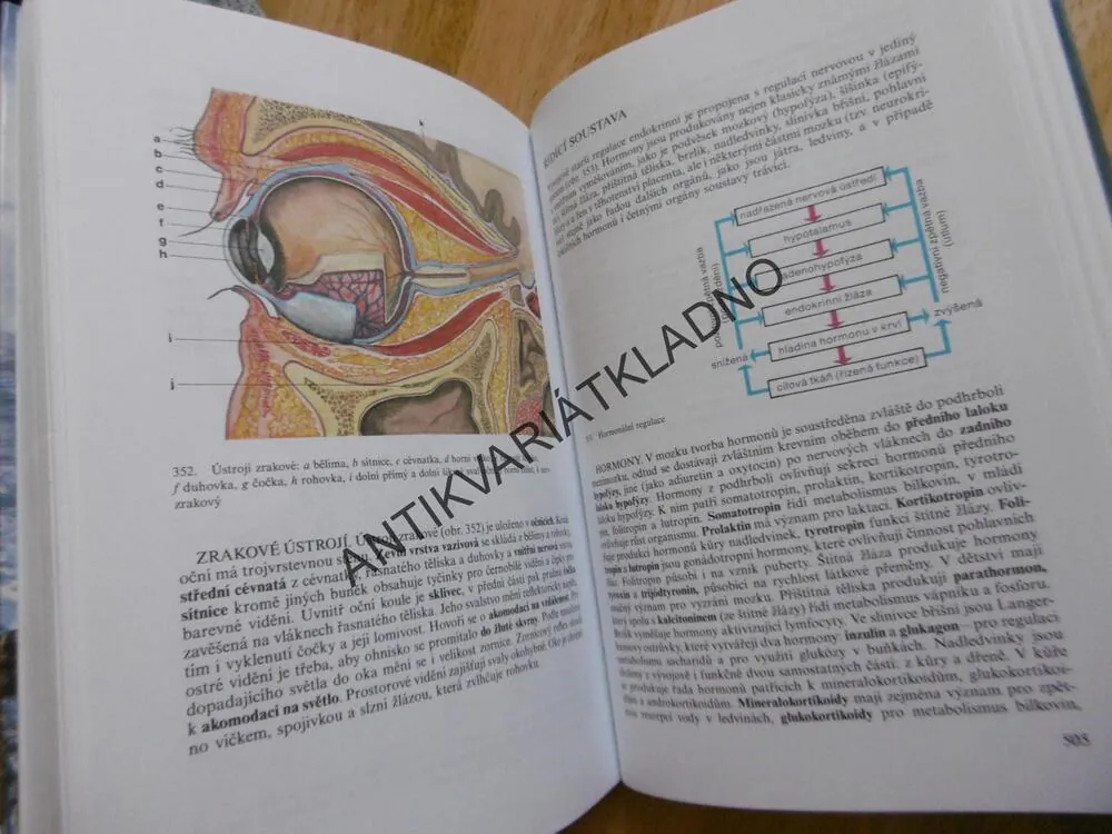 PŘEHLED BIOLOGIE, ROZSYPAL