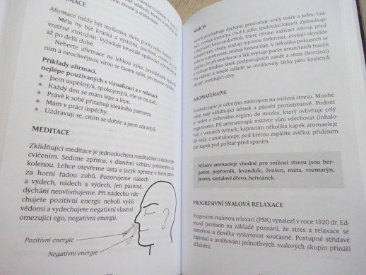 ZÁNĚT, SKRYTÝ ZABIJÁK, DAVID FREJ, **an