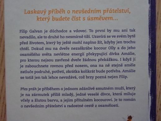 PŘES PRÁH, ANETA KOLLEROVÁ MAŠKOVÁ, **an
