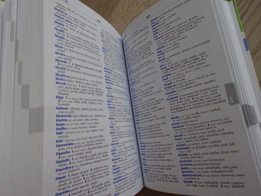 SLOVNÍK ČESKÝCH SYNONYM A ANTONYM, **an
