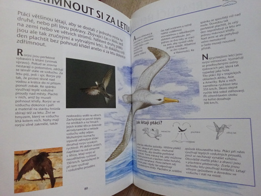 REKORDY Z ŘÍŠE ZVÍŘAT, GABRIELLE COLDITZOVÁ, **an