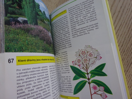 OKRASNÉ DŘEVINY, RADOSLAV ŠROT, **an