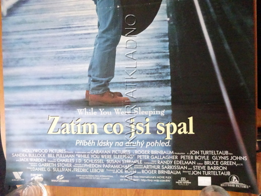 ZATÍM CO JSI SPAL, SANDRA BULLOCK, PLAKÁT 18C