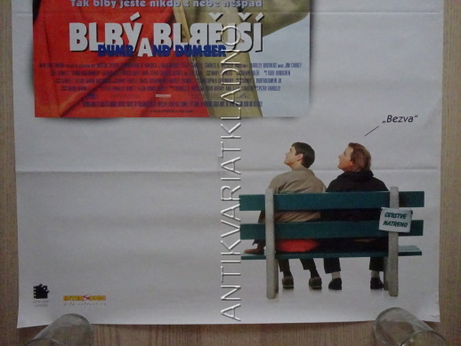 BLBÝ A BLBĚJŠÍ, JIM CARREY, PLAKÁT 6D