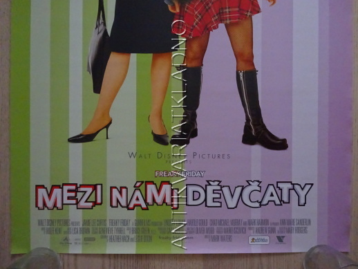 MEZI NÁMI DĚVČATY, JAMIE LEE CURTIS, PLAKÁT 43MD