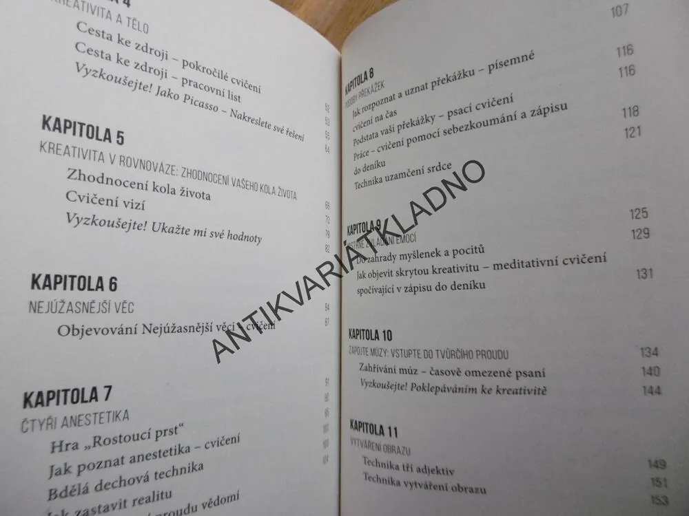 KNIHA TVŮRČÍHO ŽIVOTA, BARNET BAIN, 