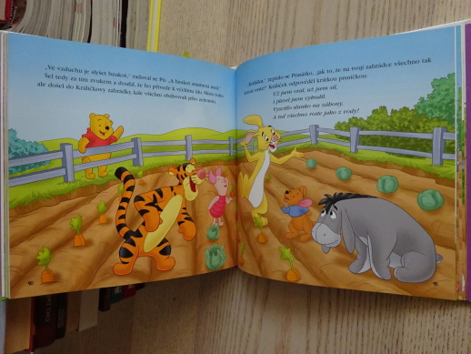 PROČ VĚCI NEPADAJÍ NAHORU, MEDVÍDEK PÚ, WALT DISNEY, **an