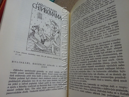 MEDICÍNA DÁVNÝCH CIVILIZACÍ, KURT POLLAK, **an