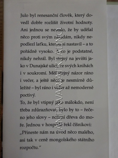 MOMENTÁLNĚ JSEM MRTVÝ, ZAVOLEJTE POZDĚJI, JÚLIUS SATINSKÝ, HEREC, FILM, **an