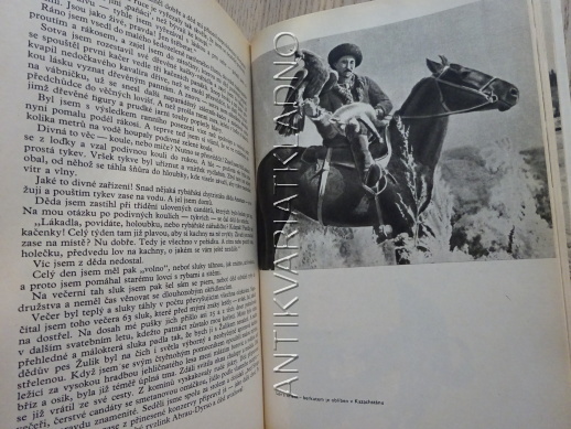 REVÍR BEZ HRANIC, RUDOLF LUSKAČ, **an