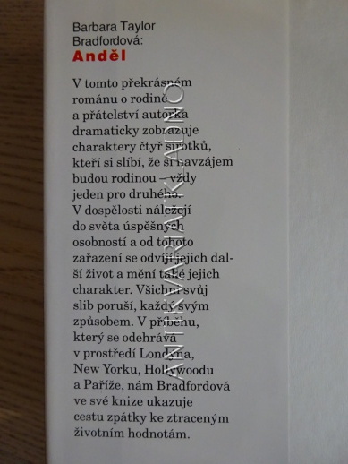 ANDĚL, BARBARA TAYLOR BRADFORDOVÁ, **an