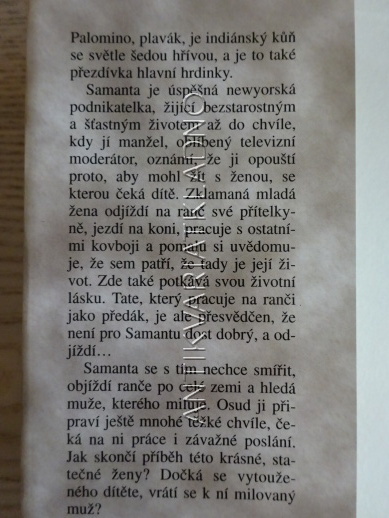 PALOMINO, DANIELLE STEEL, **an