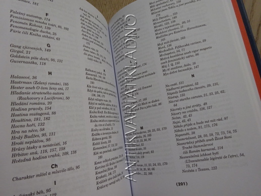 LITERÁRNÍ BLUDIŠTĚ, BILANCE POLISTOPADOVÉ PRÓZY, LUBOMÍR MACHALA, **an