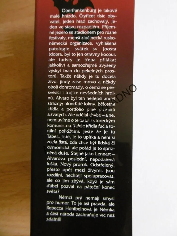 VZHŮRU K NEBESŮM, REBECCA HOHLBEIN