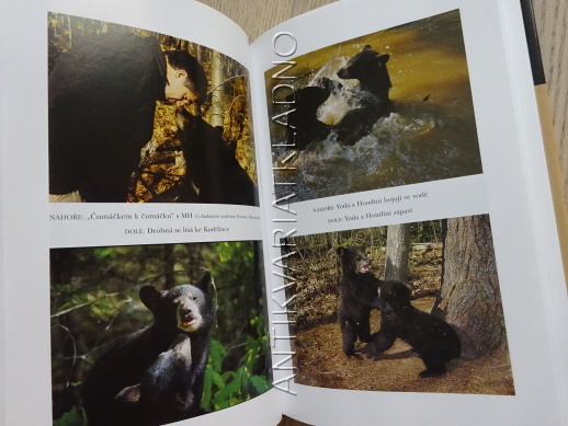 MEZI MEDVĚDY, BENJAMIN KILHAM, ED GRAY, **an