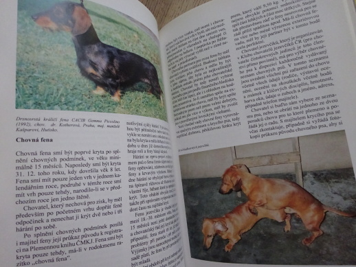 JEZEVČÍK, LENKA FAIRAISLOVÁ, **an