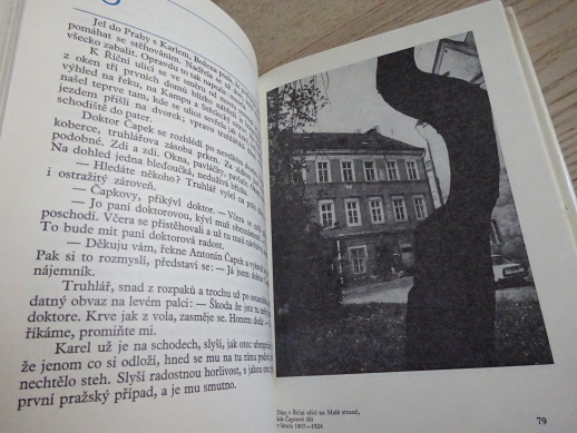 PŘÍBĚH STARŠÍHO BRATRA, ILONA BORSKÁ, **an
