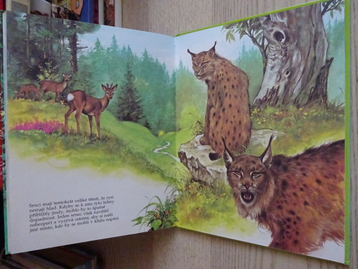 MÁ NEJKRÁSNĚJŠÍ KNÍŽKA O ZVÍŘÁTKÁCH, **an