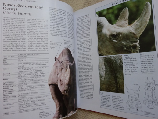 SAVANY, LAROUSSE, **an