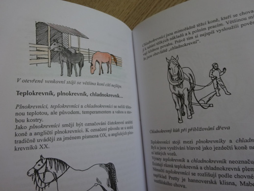 JULIE A BÍLÝ PONÍK, CHRISTIANE GOHLOVÁ, **an