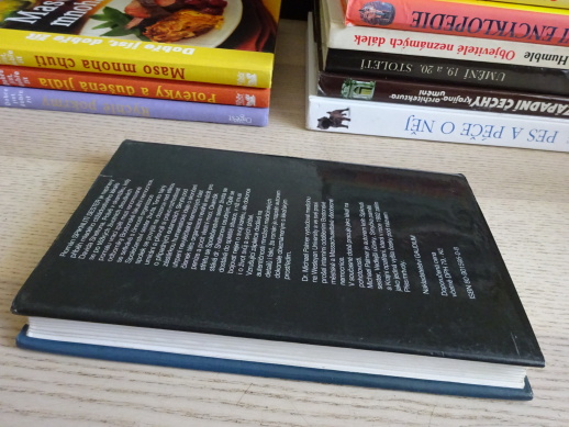 SPIKNUTÍ SESTER, MICHAEL PALMER, **an