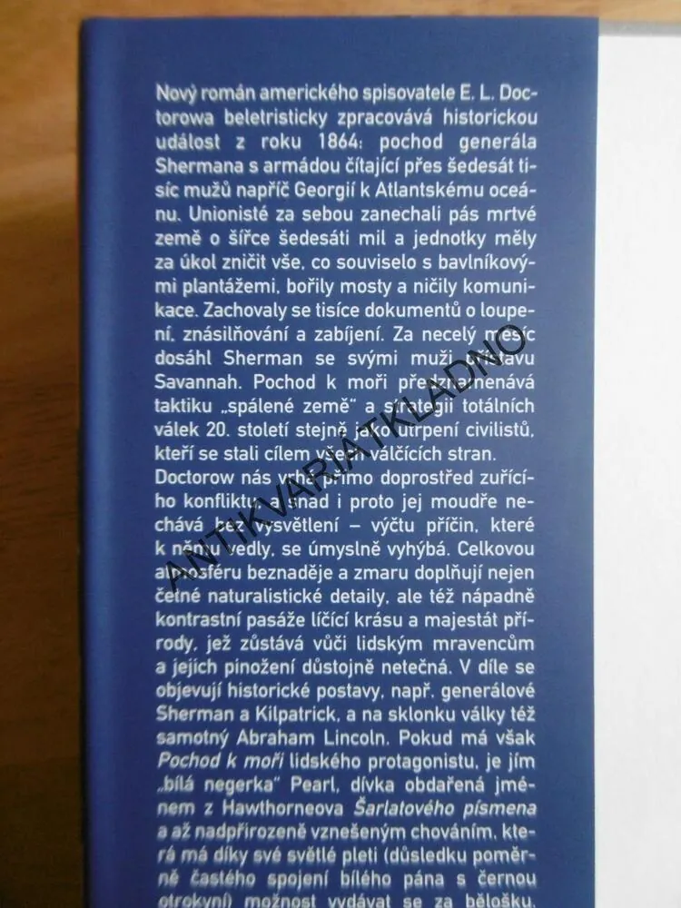 POCHOD K MOŘI, E.L. DOCTOROW