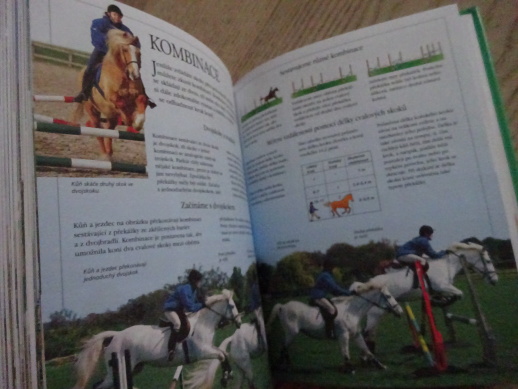 KŮŇ A JÁ, PÉČE O KONĚ A JEZDECKÝ VÝCVIK, **an