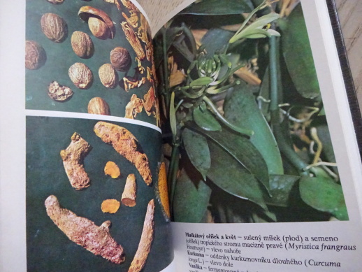 KOŘENÍ PRO KAŽDÉ VAŘENÍ, DAGMAR LÁNSKÁ, **an