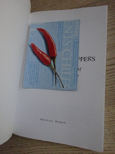 RED HOT CHILLI PEPPERS, INSIDE THE VEINS OF VELVET GROOVE, ANGLICKY, **an
