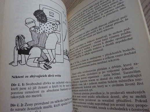 PRŮVODCE ŠPATNÝM SEXEM, ANDREW MONCUR, VIV QUILLIN, **an
