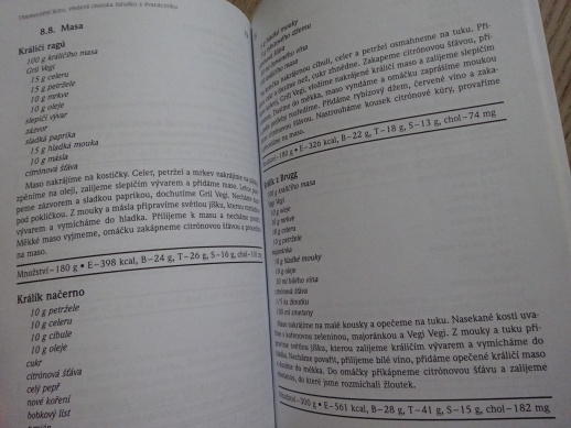ONEMOCNĚNÍ JÍCNU, VŘEDOVÁ CHOROBA ŽALUDKU A DVANÁCTNÍKU, PAVEL KOHOUT, JAROSLAVA PAVLÍČKOVÁ, **an