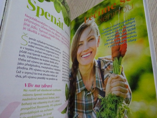 LEVNÁ A ZDRAVÁ ZELENINA, **an