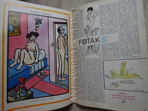 SEX BOX, MĚSÍČNÍK HUMORU O ŽENÁCH A MUŽÍCH, NEPRAKTA