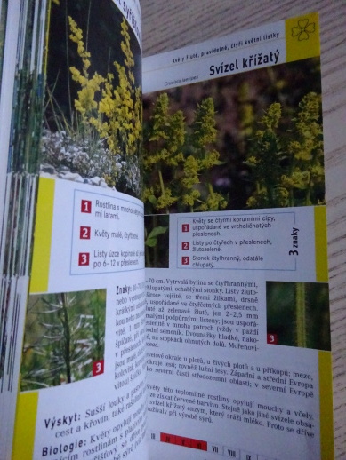 KVĚTINY, DANKWART SEIDEL, **an
