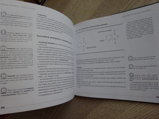 ASTHMA BRONCHIALE V PŘÍČINÁCH A KLINICKÝCH OBRAZECH, TEŘL, RYBNÍČEK, **an
