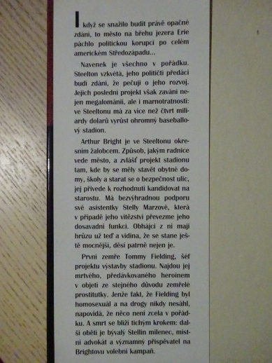 TAJEMNÁ DÁMA, RICHARD NORTH PATTERSON, **an