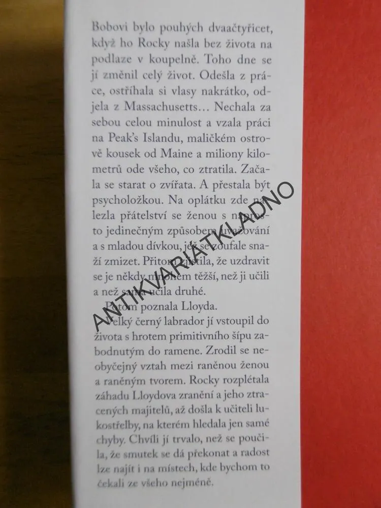 ZTRÁTY A NÁLEZY, JACQUELINE SHEEHANOVÁ