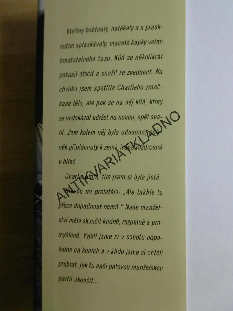 NEŽ PŘIJDOU DEŠTĚ, AFRICKÉ MEMOÁRY, ALEXANDRA FULLEROVÁ, **an