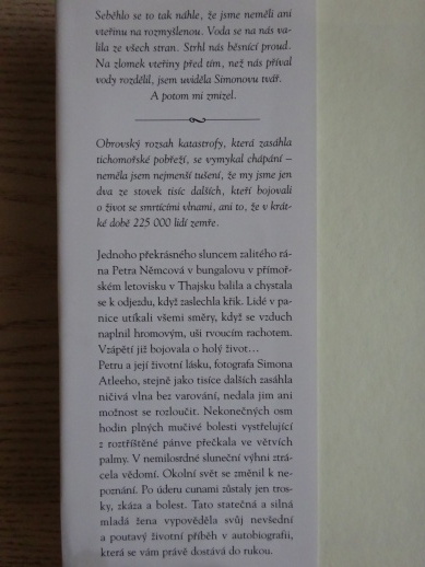VŽDY S LÁSKOU, PETRA, PETRA NĚMCOVÁ, JANE SCOVELLOVÁ, **an