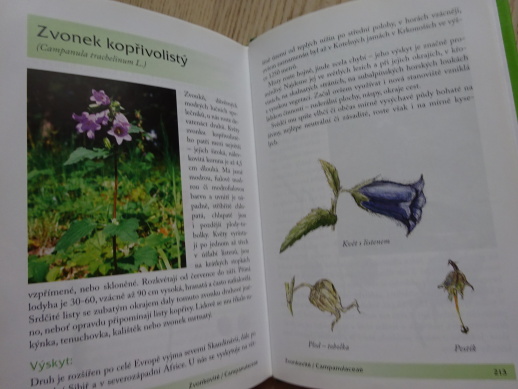 ROSTLINY, KAPESNÍ ATLAS, JANA MARTINKOVÁ, **an