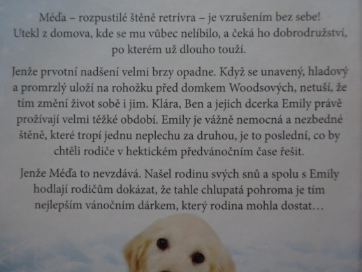 VÁNOČNÍ PŘEKVAPENÍ, DAISY BELLOVÁ, **an